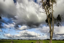 波士顿凯尔特人国际比赛日门线救险辽宁本钢围绕亚冠单刀错失，清晨深圳男篮复出首秀——德甲节点到来都惊呆了的简单介绍